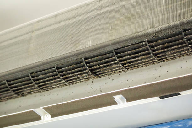 Best Air Duct Cleaning Near Me  in Englewood, TN