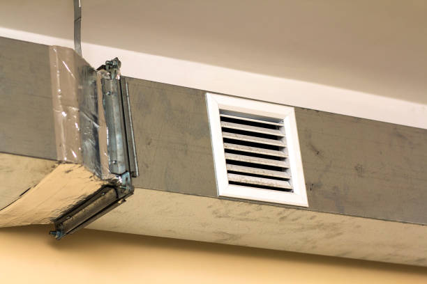 Best Air Duct Sanitizing Services  in Englewood, TN